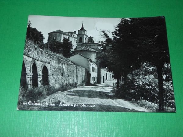 Cartolina Calamandra ( Asti ) - Scorcio panoramico 1955