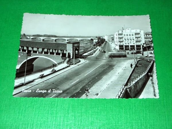 Cartolina Pavia - Lungo il Ticino 1957 | Immagine principale