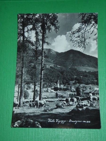 Cartolina Valle Vigezzo - Druogno - Scorcio panoramico 1952