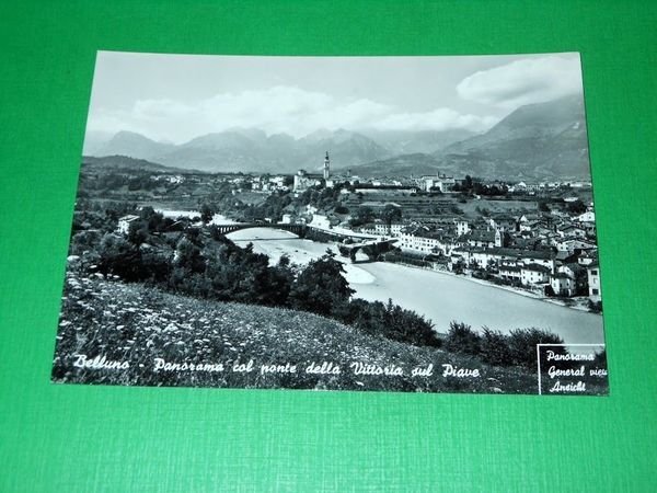 Cartolina Belluno - Panorama col ponte della Vittoria sul Piave …