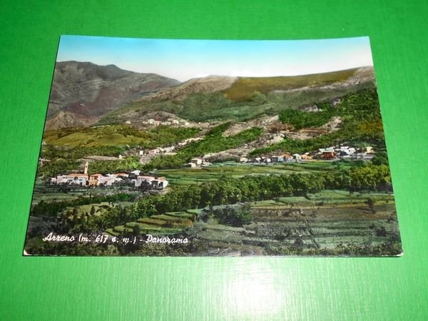 Cartolina Arzeno - Panorama 1963