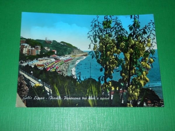 Cartolina Celle Ligure ( Piani ) - Panorama tra fiori …