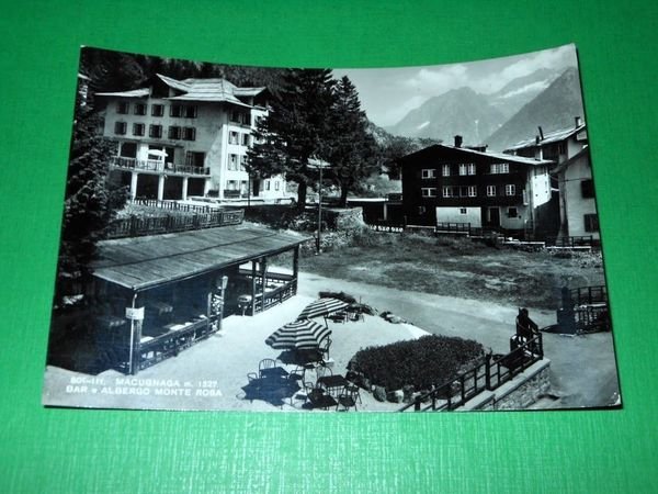 Cartolina Macugnaga - Bar e Albergo Monte Rosa 1956