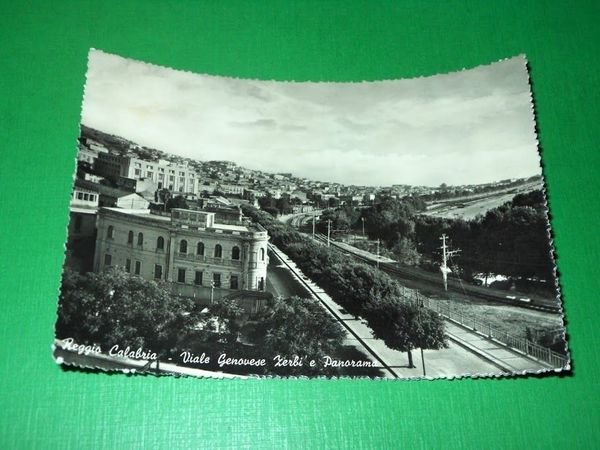 Cartolina Reggio Calabria - Viale Genovese Zerbi e Panorama 1956