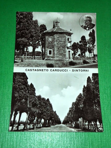 Cartolina Castagneto Carducci - Dintorni 1959 | Immagine Gallery 1