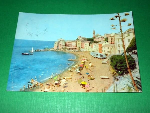 Cartolina Bogliasco ( Genova ) - Veduta della spiaggia - …
