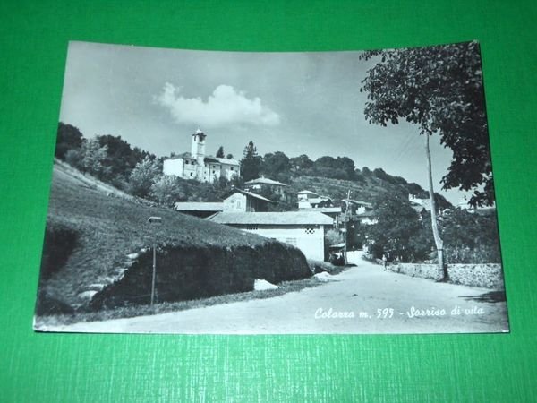 Cartolina Colazza ( Novara ) - Scorcio panoramico 1950 ca