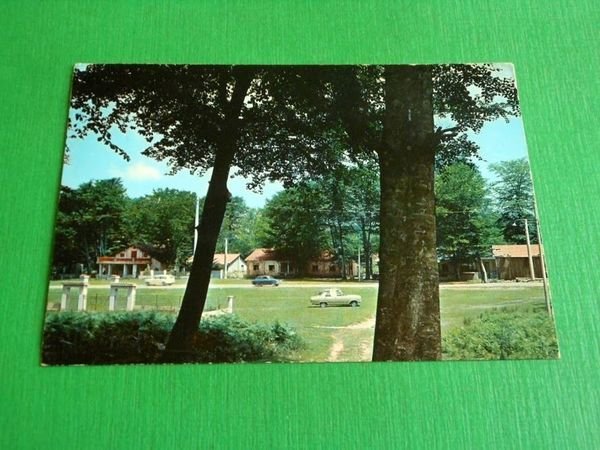 Cartolina Zomaro - La Pineta 1975