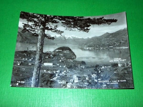 Cartolina Bellagio - Lago di Como - La penisola 1960