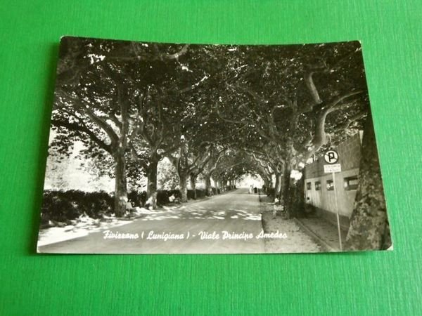 Cartolina Fivizzano ( Lunigiana ) - Viale Principe Amedeo 1966