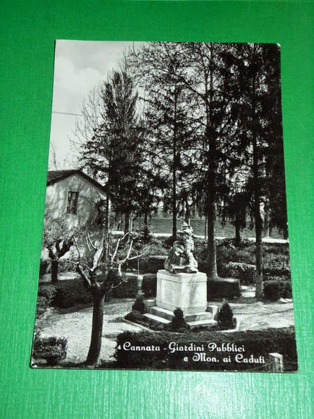 Cartolina Cannara - Giardini Pubblici e Monumento ai Caduti 1956