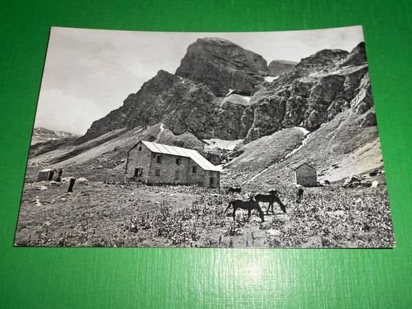 Cartolina C.A.I. Sezione Mondovì - Rifugio Havis de Giorgio 1960 …
