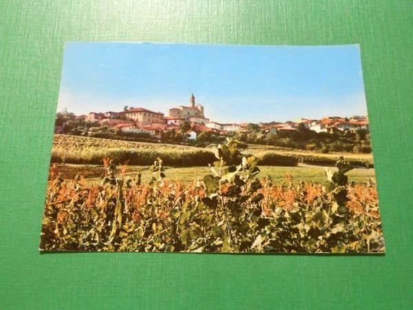 Cartolina Pecetto ( Alessandria ) - Panorama 1973