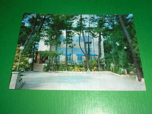 Cartolina Tirrenia ( Pisa ) - Hotel Tirrenia Villa Laura …