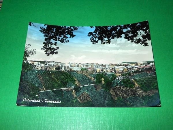 Cartolina Catanzaro - Panorama 1957