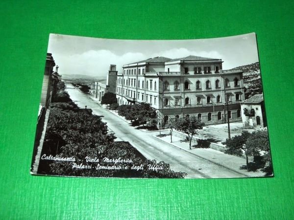 Cartolina Caltanissetta - Viale Margherita - Palazzi Seminario e degli …