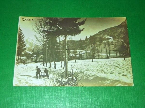 Cartolina Carnia ( Udine ) - Paesaggio invernale 1915 ca