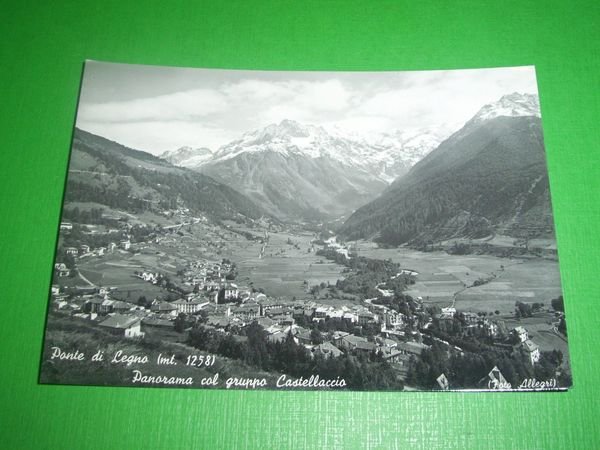 Cartolina Ponte di Legno - Panorama col gruppo Castellaccio 1950 …