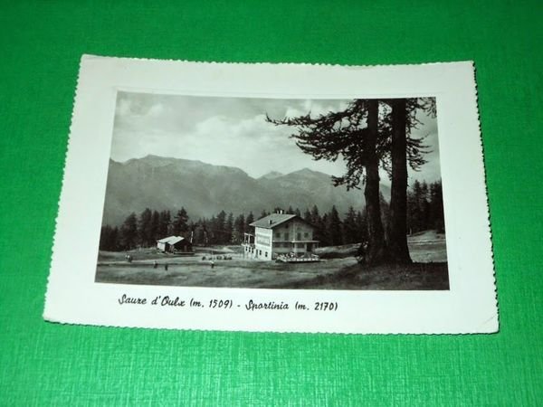 Cartolina Sauze d' Oulx - Sportinia - 1952