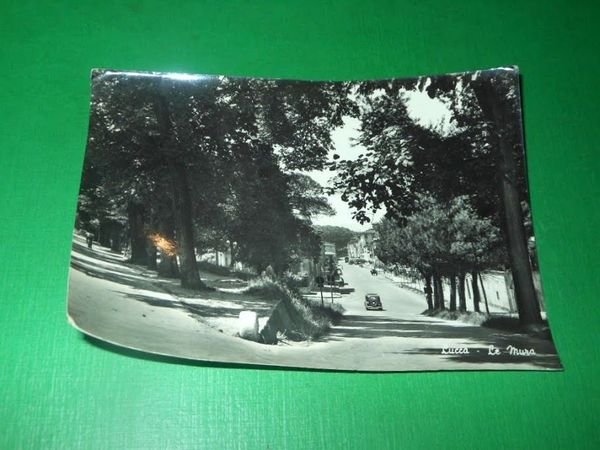 Cartolina Lucca - Le Mura 1959