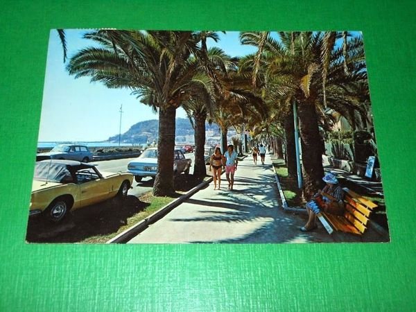 Cartolina Diano Marina - Palmizi della passeggiata a mare 1982