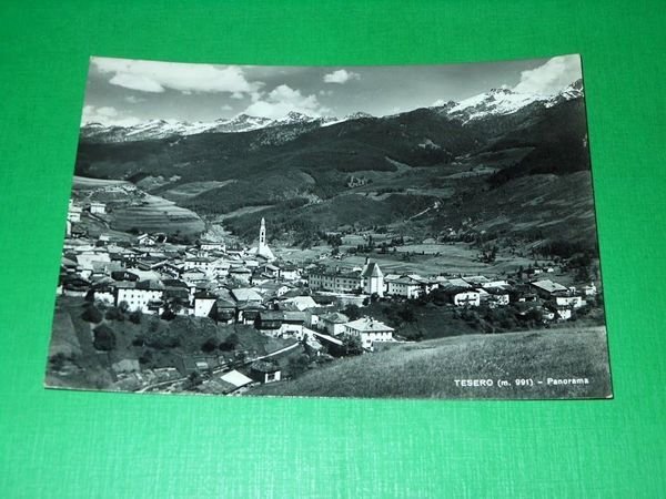 Cartolina Tesero ( Trento ) - Panorama 1955
