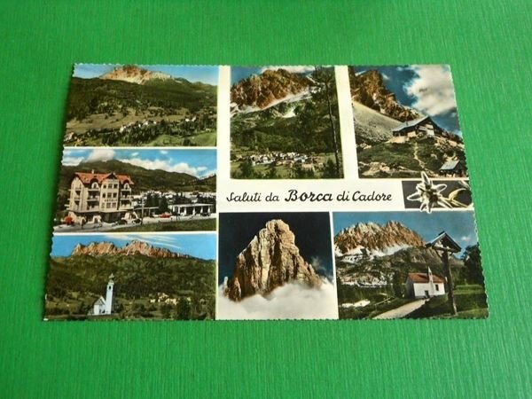 Cartolina Saluti da Borca di Cadore - Vedute diverse 1955 … | Immagine Gallery 1