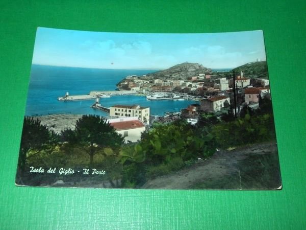 Cartolina Isola del Giglio - Il Porto 1964