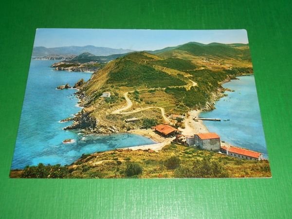 Cartolina Isola d' Elba pittoresca - L' Enfola 1964