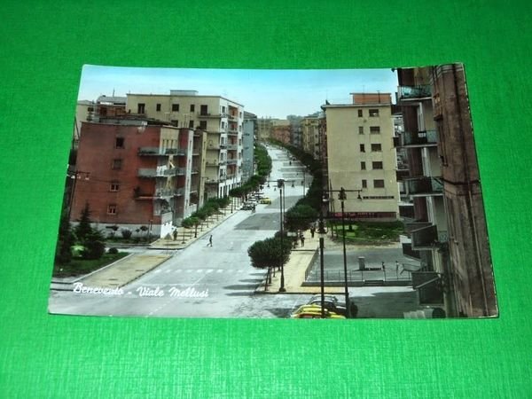 Cartolina Benevento - Viale Mellusi 1960 ca