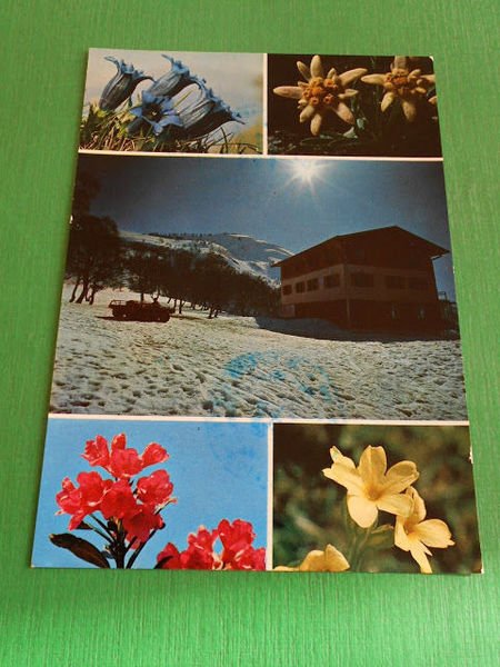 Cartolina Pian delle Betulle - Albergo Baitock 1965 ca