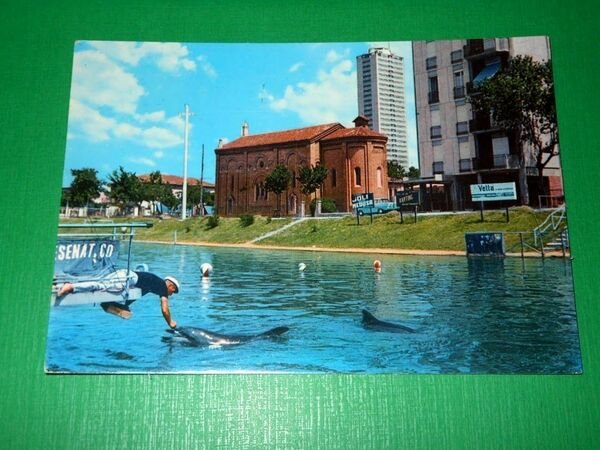 Cartolina Cesenatico - Aquario - La colazione ai delfini 1968.
