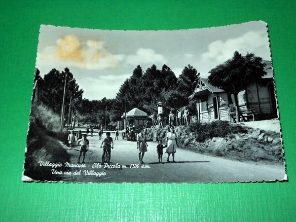 Cartolina Villaggio Mancuso ( Sila Piccola ) - Una via …