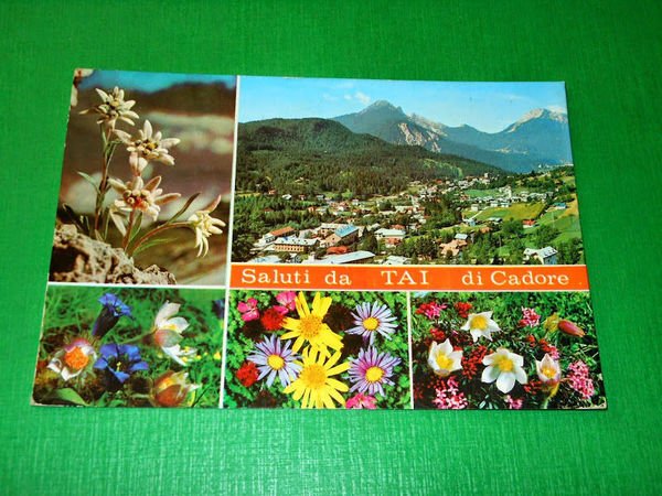 Cartolina Saluti da Tai di Cadore - Panorama e altre …