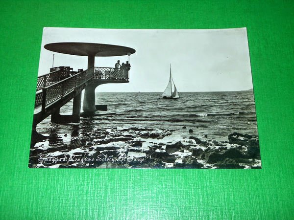 Cartolina Spiaggia di Rosignano Solvay - Il Fungo 1960
