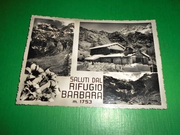 Cartolina Saluti dal Rifugio Barbara - Bobbio Pellice 1956