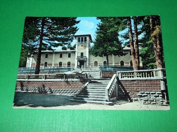 Cartolina La Sila - Federici - Colonia montana Domenico Migliori …