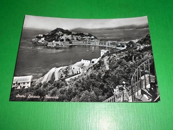 Cartolina Sestri Levante - Penisola 1965