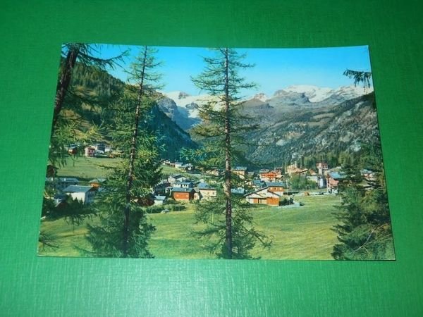 Cartolina Valle d' Aosta - Champoluc - Panorama sfondo M. …