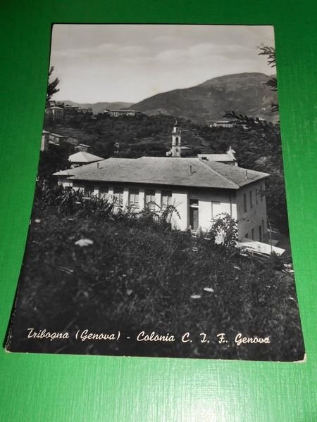 Cartolina Tribogna ( Genova ) - Colonia C.I.F. Genova 1955 …