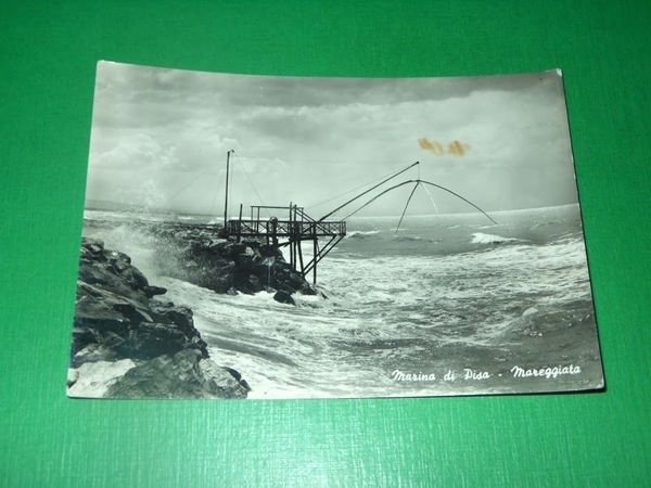 Cartolina Marina di Pisa - Mareggiata 1960 ca