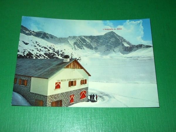 Cartolina La Parete Nord dell' Adamello - Rifugio Garibaldi - …