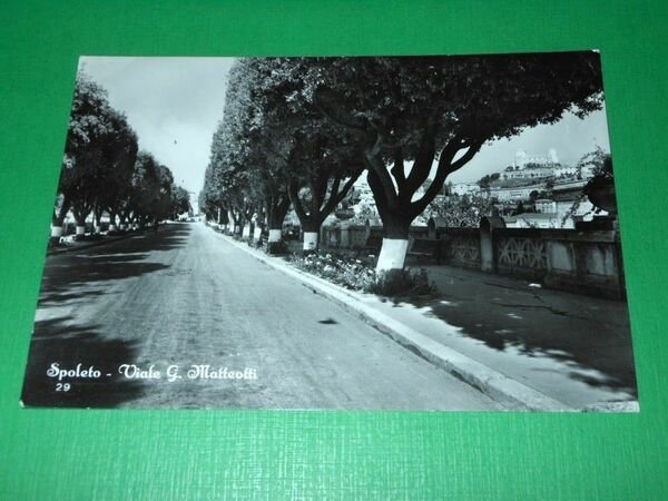 Cartolina Spoleto - Viale G. Matteotti 1965. | Immagine principale