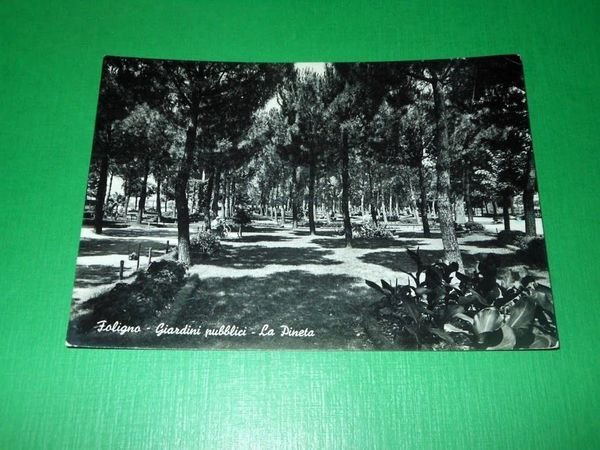 Cartolina Foligno - Giardini pubblici - La Pineta 1954