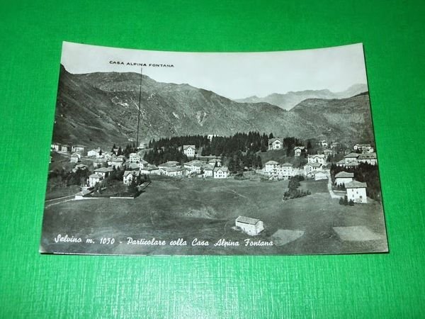 Cartolina Selvino - Particolare colla Casa Alpina Fontana 1955 ca.