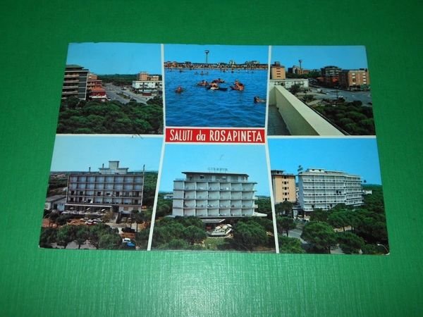 Cartolina Saluti da Rosapineta ( Rovigo ) - Vedute diverse …