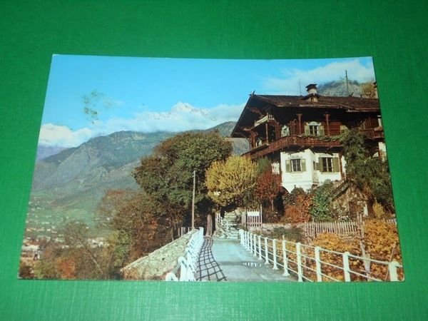 Cartolina Merano - Passeggiata Tappeiner 1967.