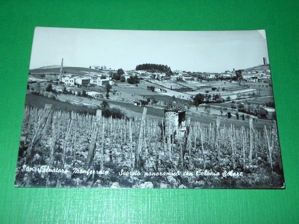 Cartolina San Salvatore Monferrato - Scorcio panoramico con Colonia Solare … | Immagine principale