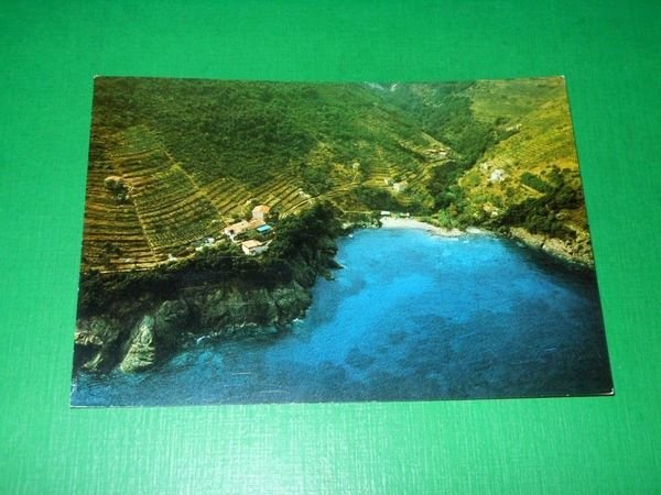 Cartolina Isola d'Elba - Marciana Marina - Pensione Andreina A.A.E. …
