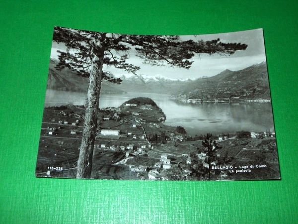 Cartolina Bellagio - Lago di Como - La penisola 1955 … | Immagine principale